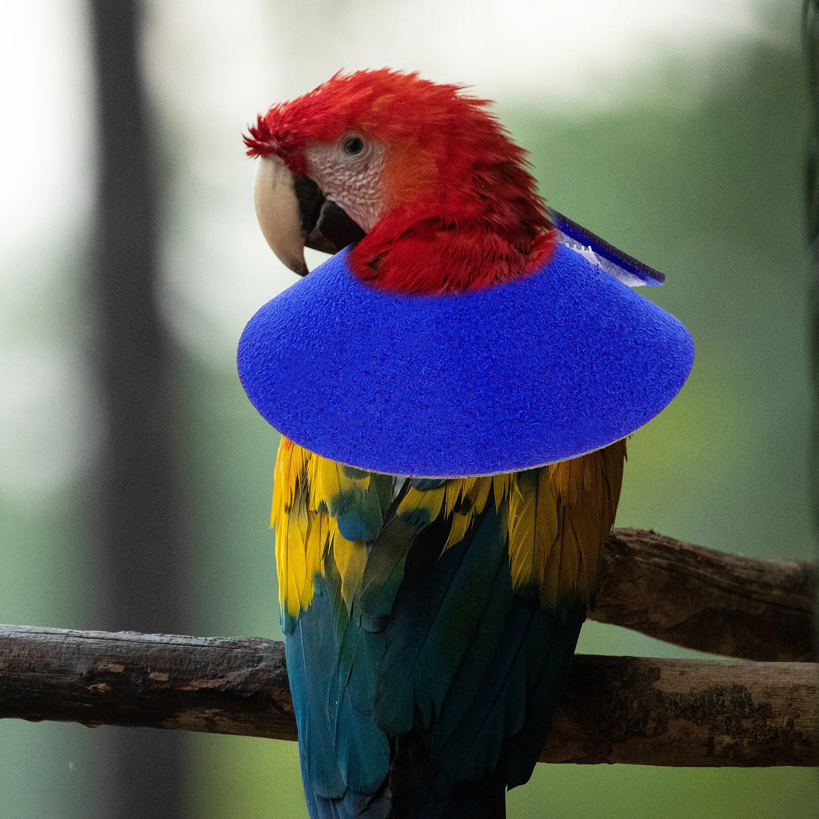 

Bird Anti- Bite Collar Parrot Neck Collar Durable Lightweight Breathable Washable Reusable Pet Recovery Aid Birds Neck Cover