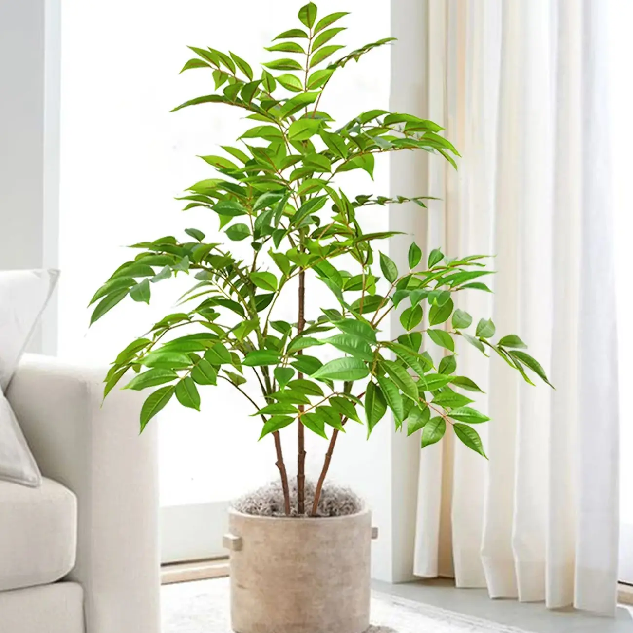 76-105-135 سنتيمتر/53.1in فرع شجرة اللبخ الاصطناعي وهمية ورنيش شجرة البلاستيك نباتات بانيان الأخضر طويل القامة أوراق النخيل لحديقة المنزل