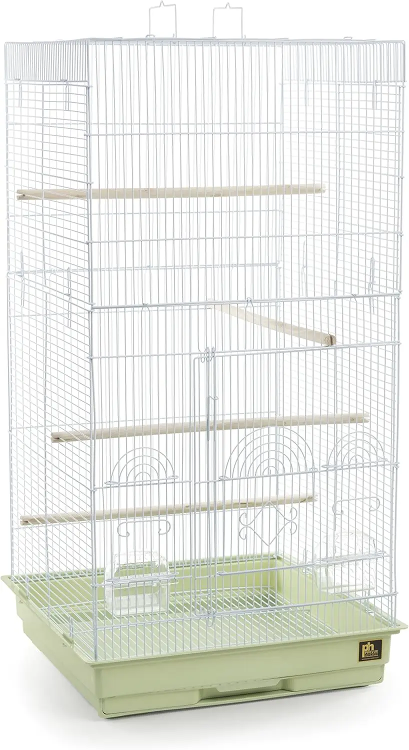 

Tall Tiel Cage for Parrots, Sage Green Color, Durable and Spacious Bird Home