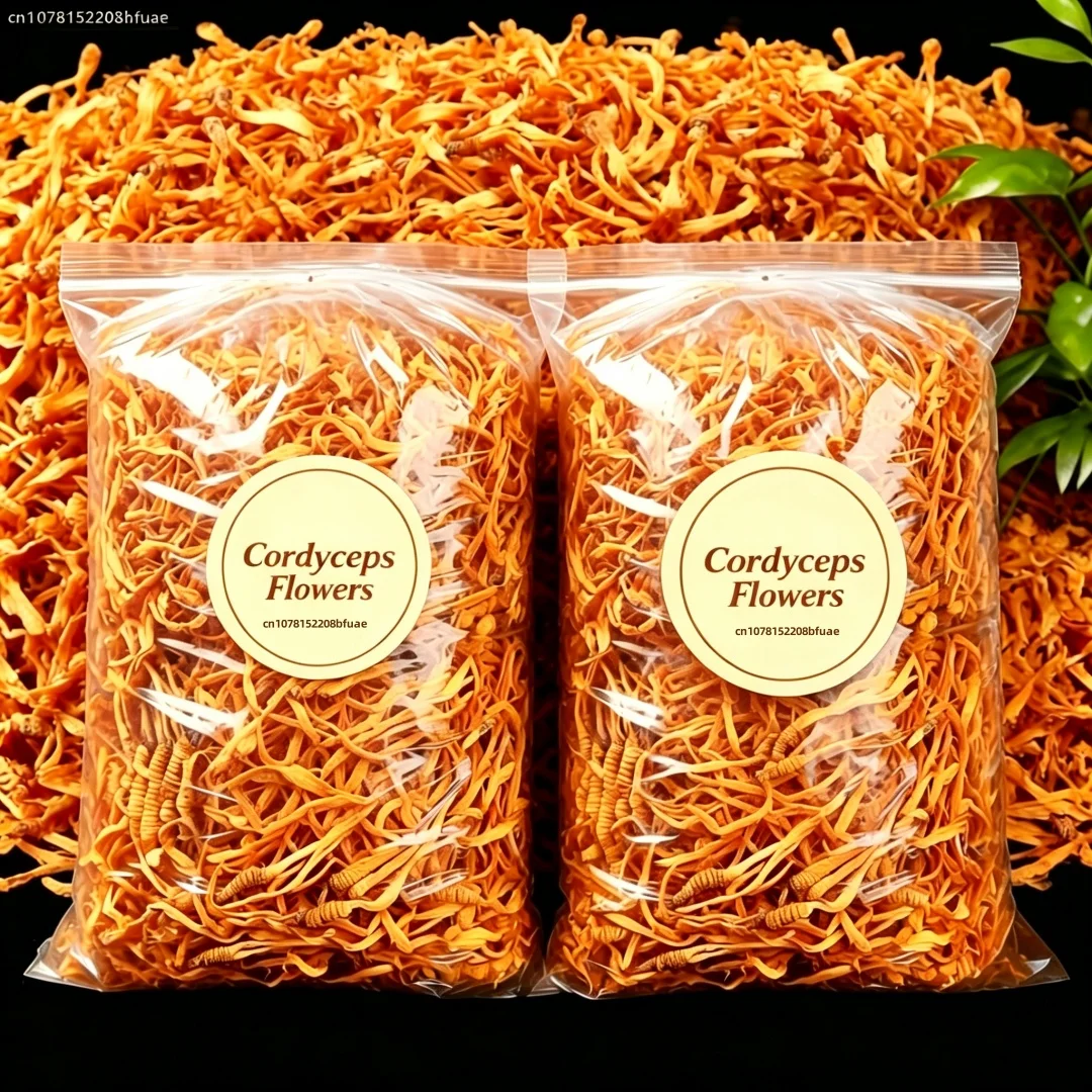 Dried Herbs - 250g/500g Dried Cordyceps Flowers - Natural