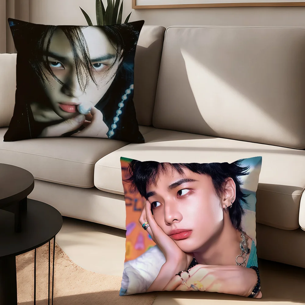 Singer cushion cover Anti-dustmite Sofa Cushion Decorative Office Cover H-Hyunjin Lounge Area Indoor & Outdoor Use
