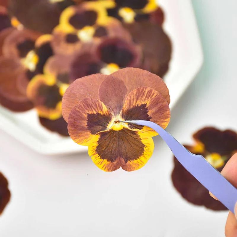 12 قطعة/4-6 سنتيمتر ، خمر بانسي ضغط بتلات بالتنقيط الغراء زهرة جافة إطار صور ذاتي الصنع المرجعية مهرجان بطاقة هدية زهرة الديكور