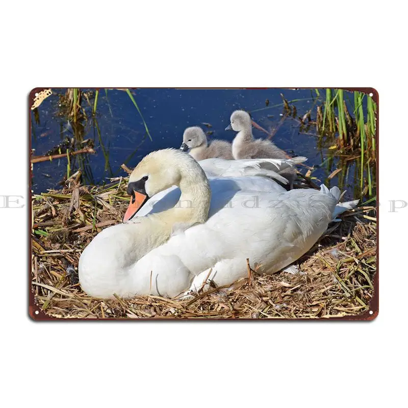 Swan And Two Cygnets Metal Plaque Poster PaintingFunny Living Room Printed Cinema Tin Sign Poster