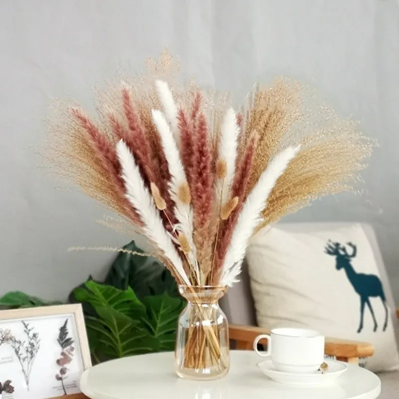 

9 Styles Of Small Pampas Grass Bouquets 30Pcs/Lot Natural Planted Dried Flower White, Primary Color Home Decor Reed Fleurs