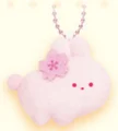 light pink bunny