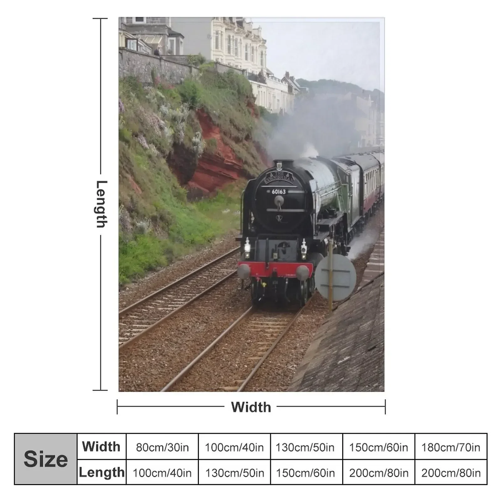 British Railways 60163 Tornado at Dawlish Throw Blanket Flannel Fabric Decoratives Thermal Fashion Sofas Blankets