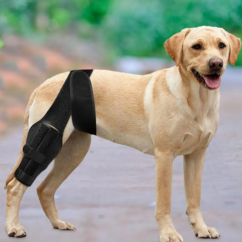 Dog Back Leg Brace Black Adjustable Dog Knee Brace Comfortable Knee Pad For Leg Injury Care Universal Leg Protector For Medium