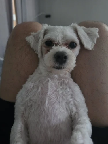 실물 포토 리뷰