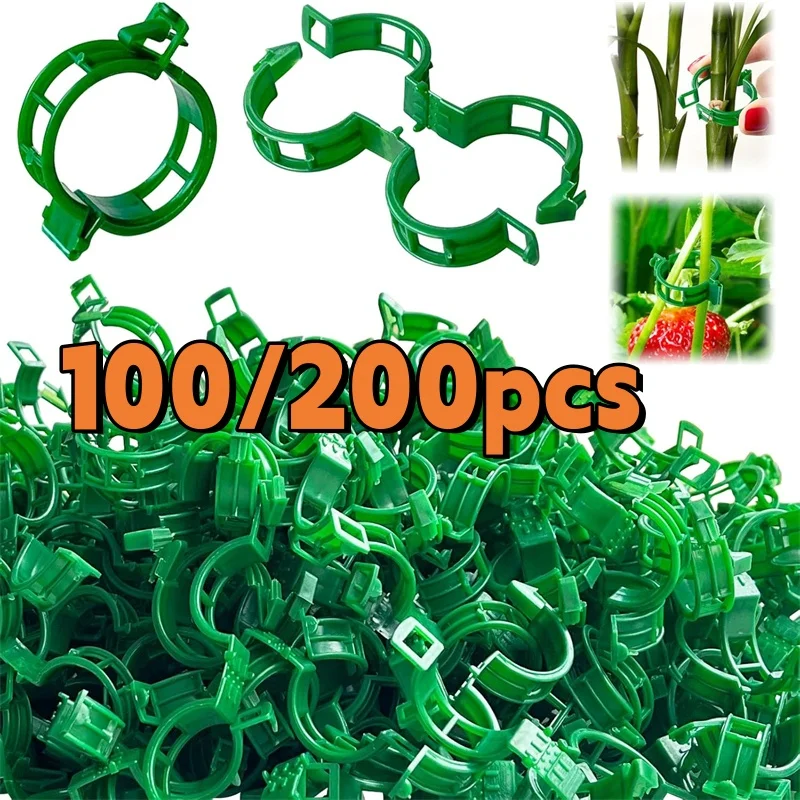 100/200Pcs Plant Su…