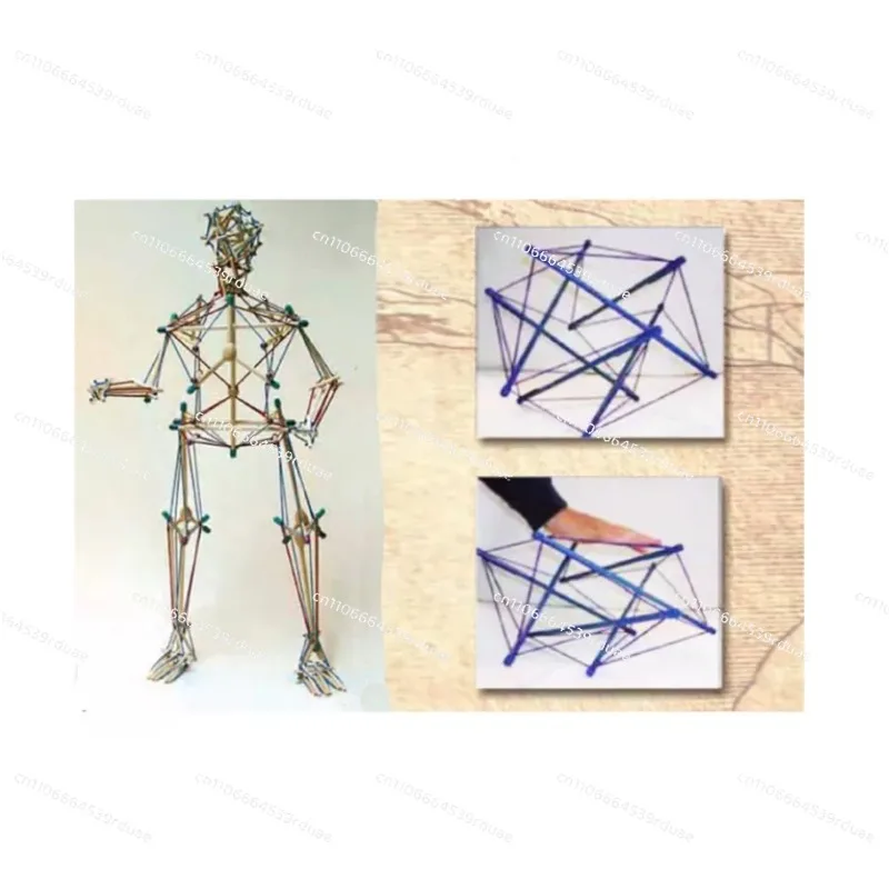 

Pelvic Tension Model, Anatomy Trains & Tensegrity Teaching Aids for Rehabilitation Fascia Training