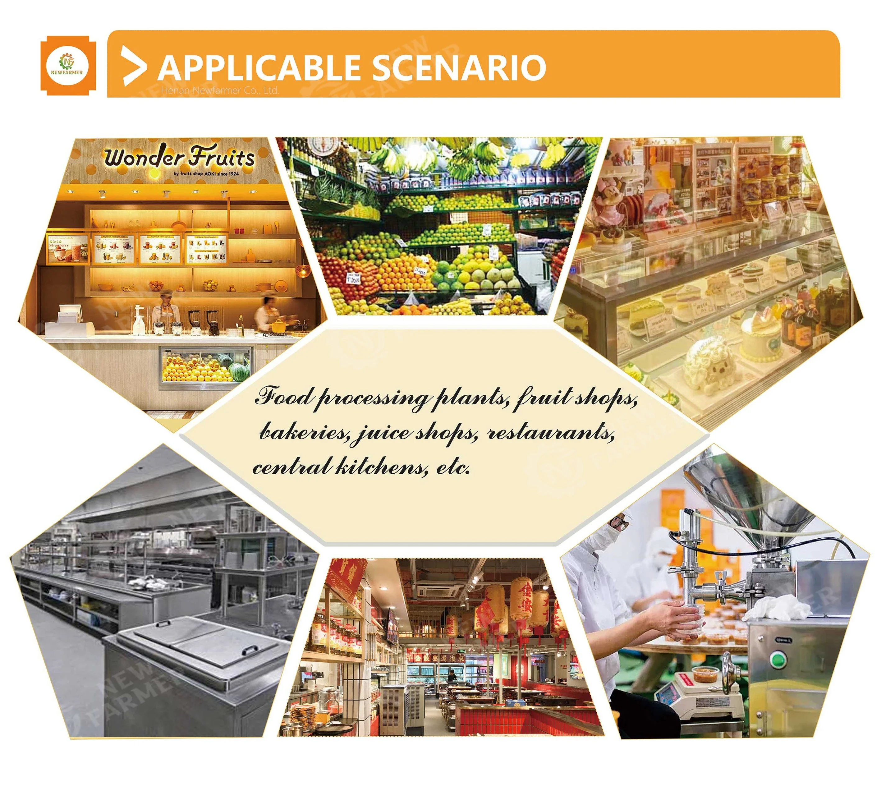 

Commercial Passion Juicer Fruit Pulper Small Peach Ginger Extractor Extract Orange Cold Press Juice Machine