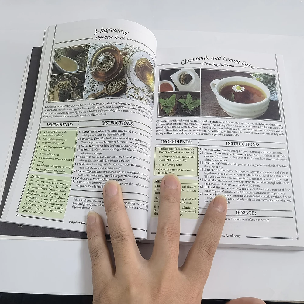 Forgotten Home Apothecary The Home Doctor Book For Every Family for Everyday Well