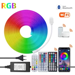 스마트 블루투스 와이파이 RGB LED 네온 조명 스트립, IP65 방수 로프 테이프 다이오드, 리모컨 알렉사 구글 홈, 24V, 6X12MM