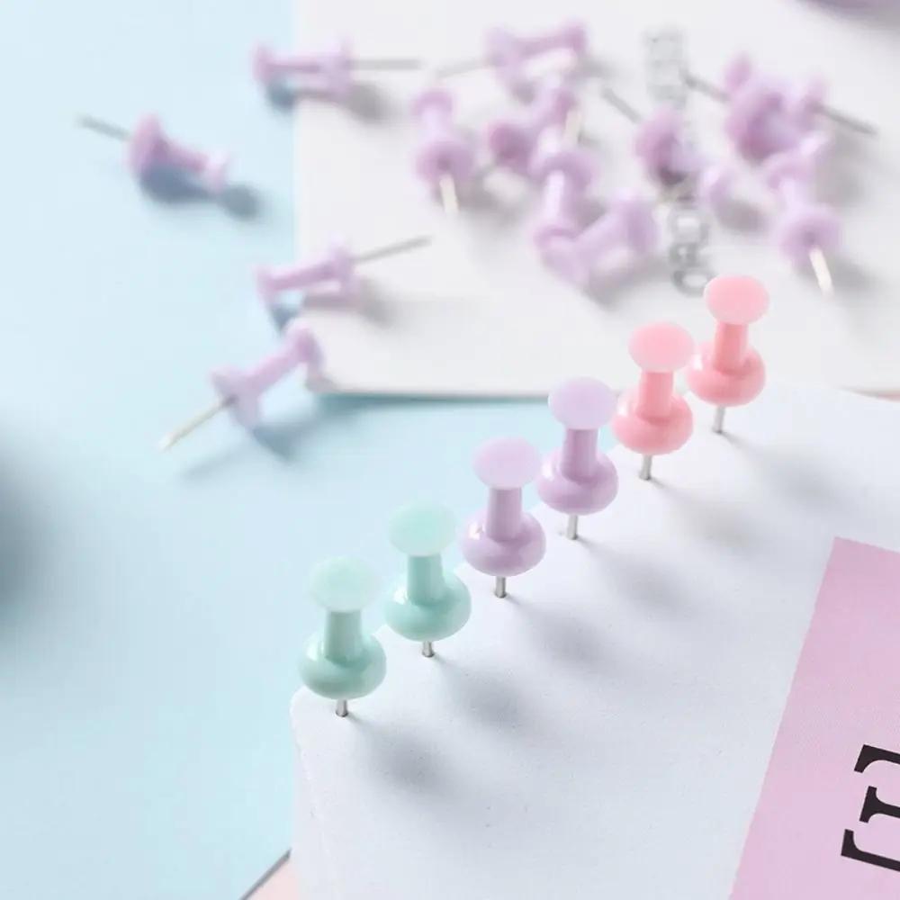 

Boxed Macaron Color Pushpin Thumbtac Fixing Pin Plastic Board Push Pin Small Fresh Thumb Tacks Wall Markers