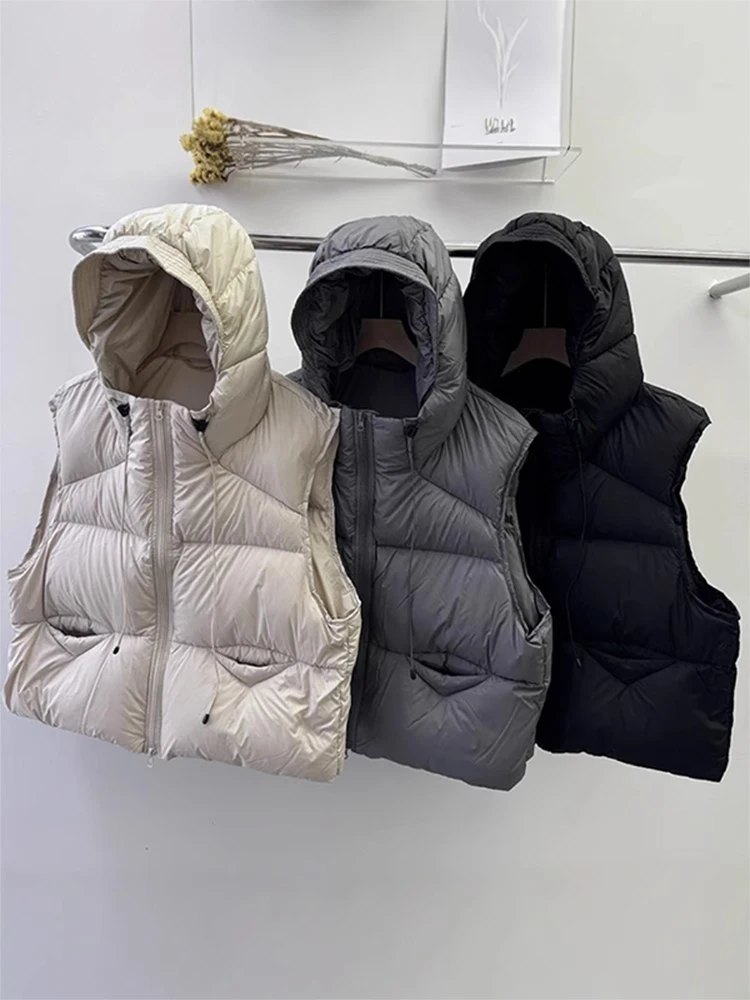 

Новая осенне-зимняя женская утепленная хлопковая куртка-жилет свободного кроя с капюшоном, модная, универсального размера