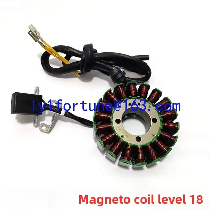 200 250 300 Beyond Clutch 6 11 12 18 Magneto Magnets, Coil Accessories