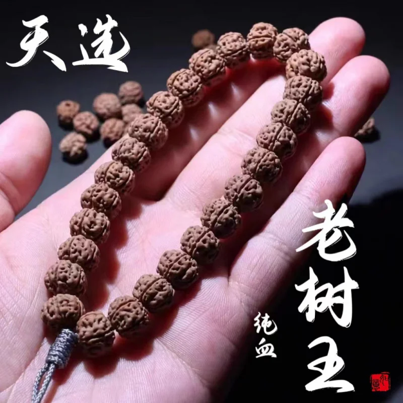 Collector'S Grade Blood Old Tree King Small Vajra Bodhi Bracelet Single Circle Seed Explosive Flesh Double