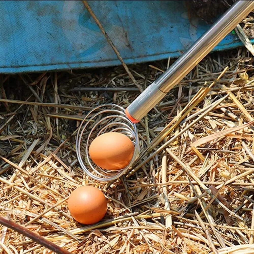 

Новый артефакт для сбора яиц из нержавеющей стали, портативный съемный сборщик орехов, регулируемый сборщик фруктов, ферма