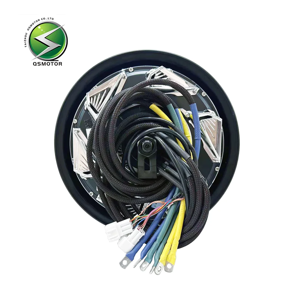 

QSMOTOR 12 Inch V4 6000WP50H Commemorative Edition High-performance Brushless DC Motor