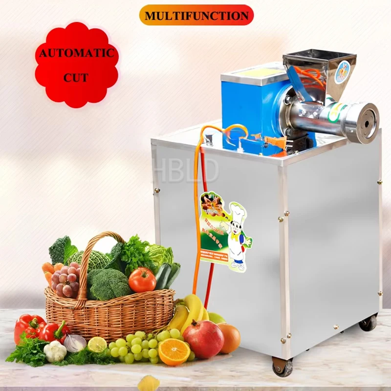 Commercial Stainless Steel Spaghetti Extruder Multi-Function Kitchen Appliance for Business Use