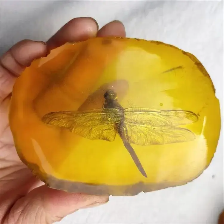 

10cm rare lucky cone statue inlaid with butterflies in amber is a home decoration in China