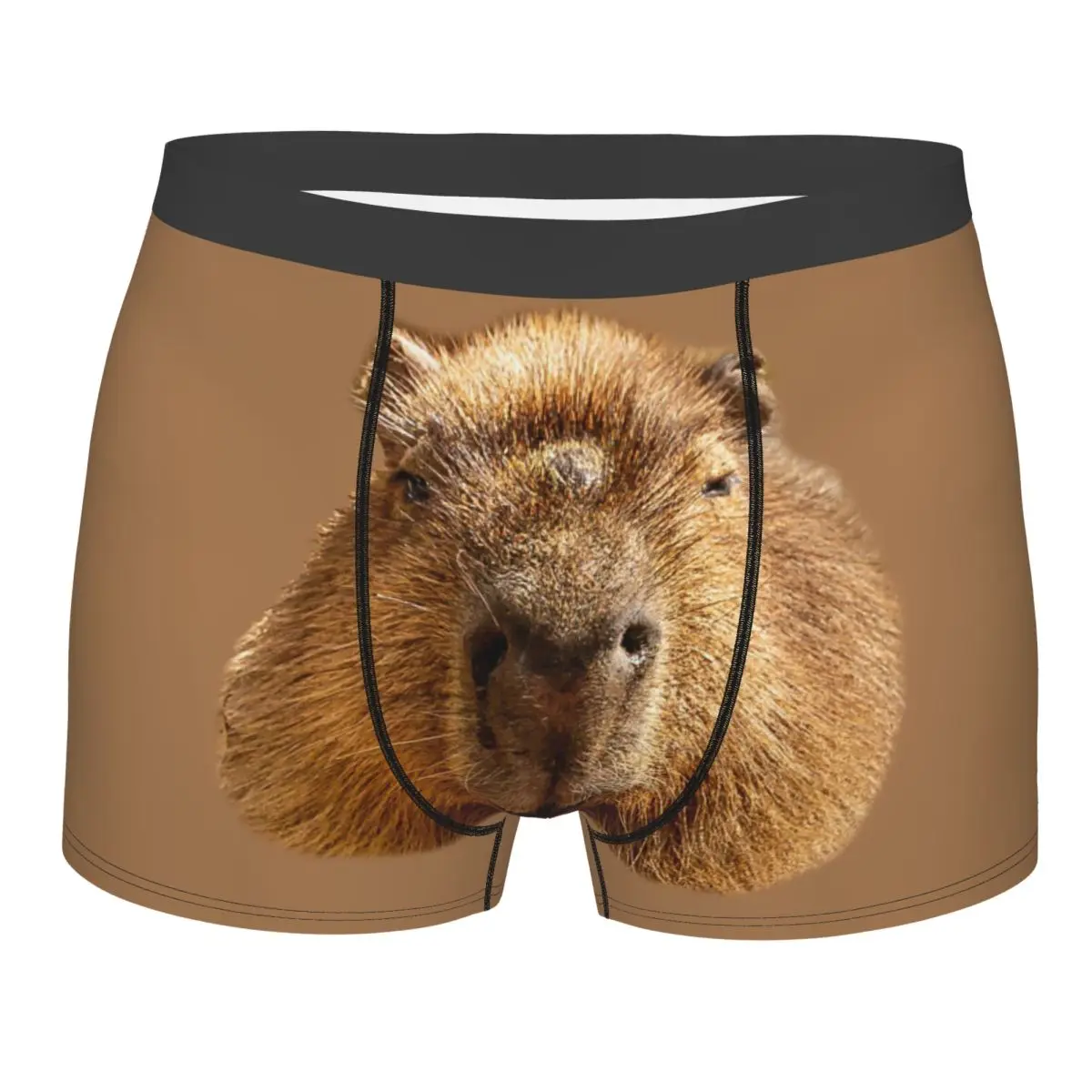 Custom Capybara Dozing In The Sunshine Printing Underwear Men Sexy Printed Customized Boxer Shorts Panties