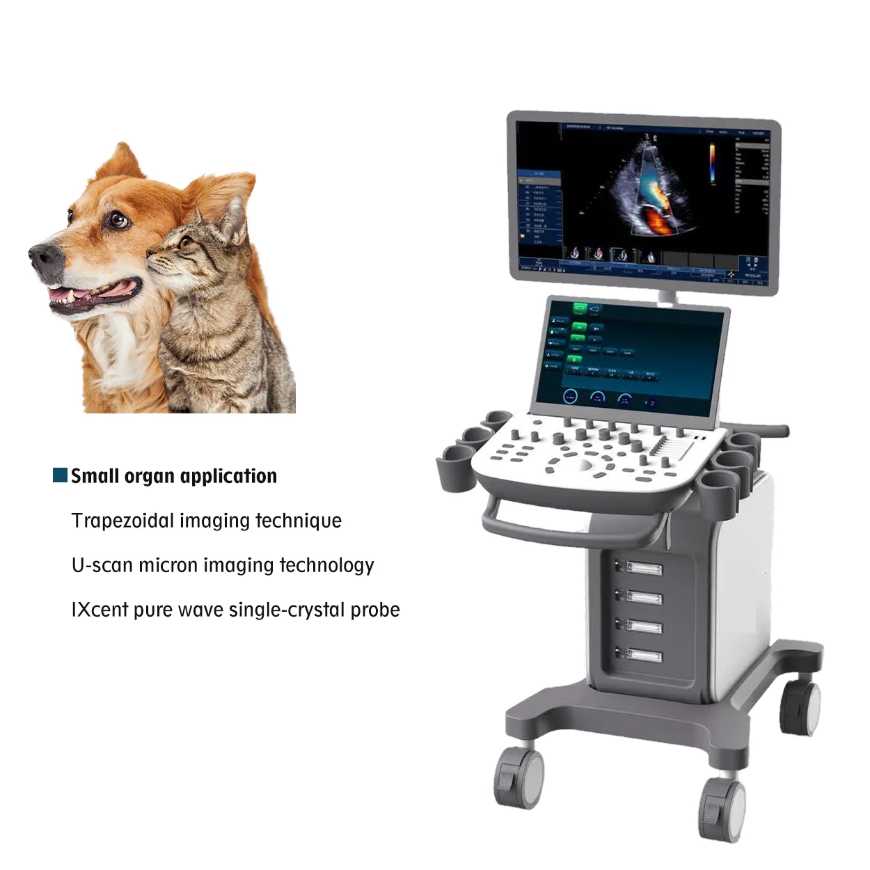 Veterinary Color  Ultrasound Doppler Diagnostic Device 3d 4d Color Doppler Veterinary Ultrasound  Scanner Machine