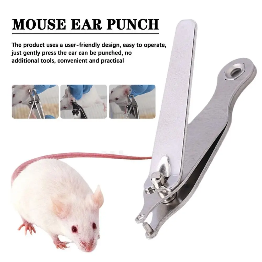 Silver Animal Experimental Ear Punch High Quality Stainless steel Safe Mouse Ear Punch Punching Shears