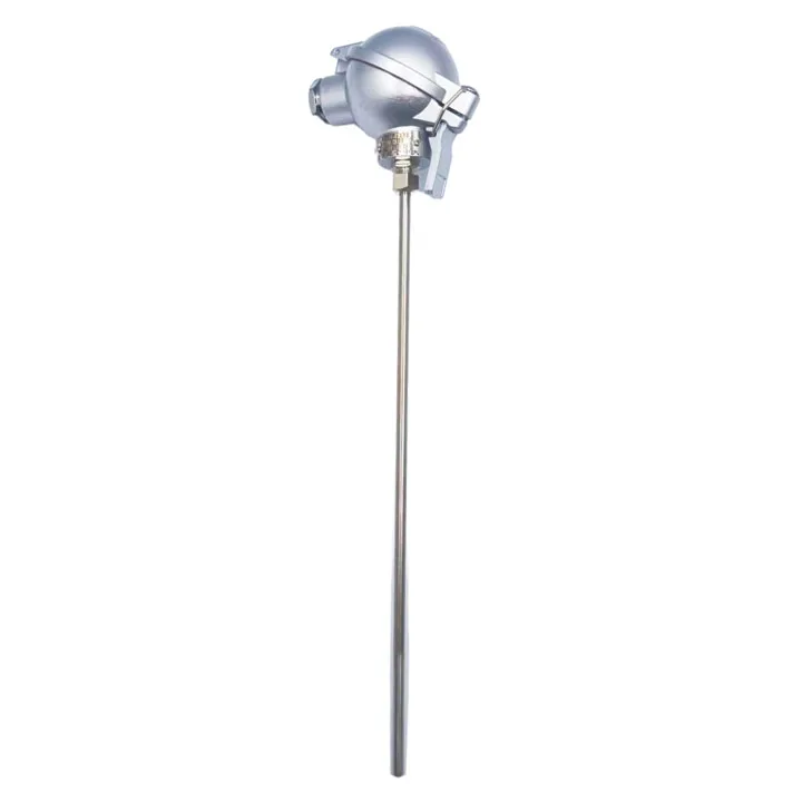 High Accuracy 0.5C Food Grade Customizable Thermometer OEM Support Stainless Steel Thermocouple IP68 Rated