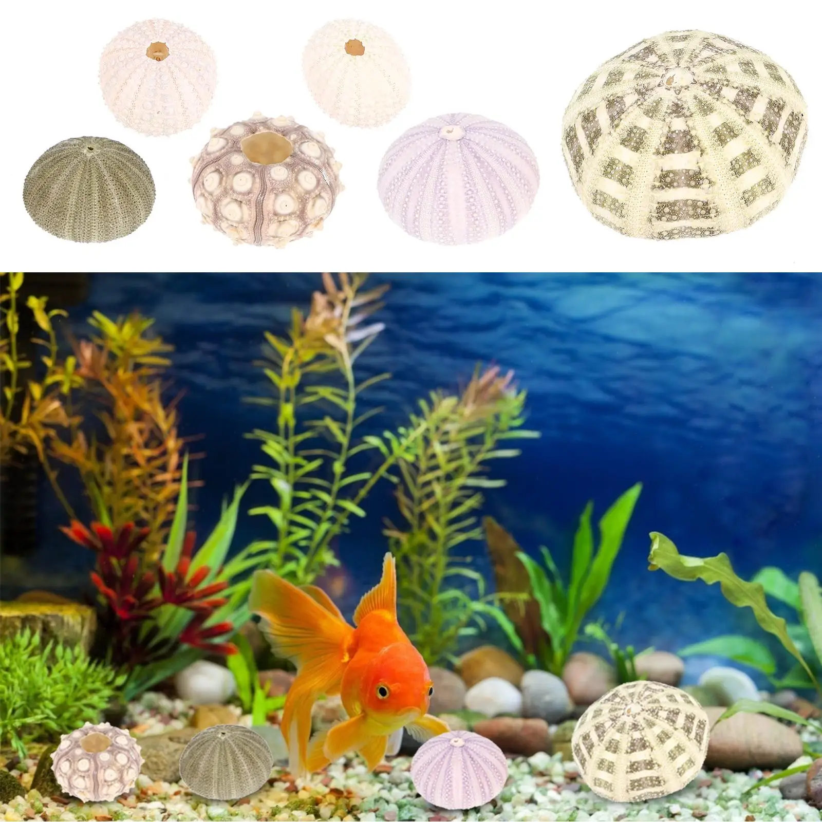 

6 Pcs Animal Aquarium Decoration Decorations for Fish Tank Décor Accessories Ornament Ornaments