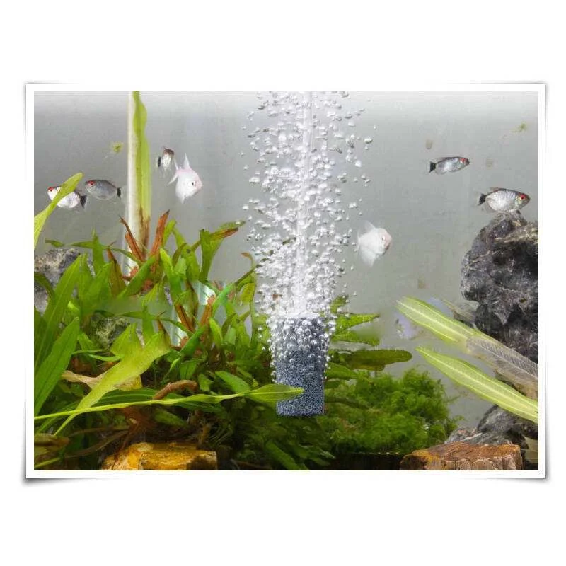 2~10Pcs Aquarium Fish Tank Air Stone Seafood Pool Aerator Bubble Stone 15x25mm Aquatic organisms Mini Air Pump Accessories