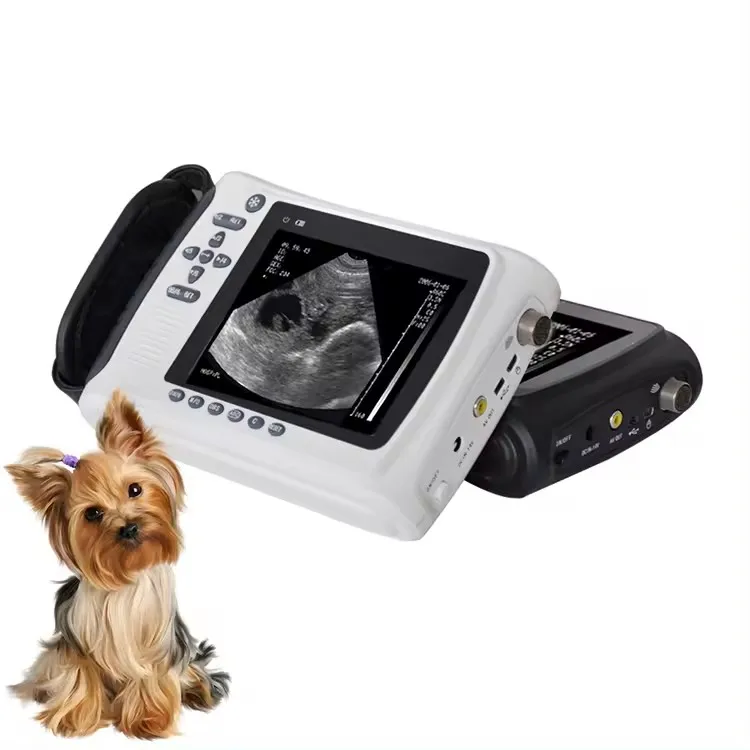 Amain Good Quality pet dog pig sheep pregnancy ultrasound scanner veterinary vet ultrasound portable machine animal ultrasound