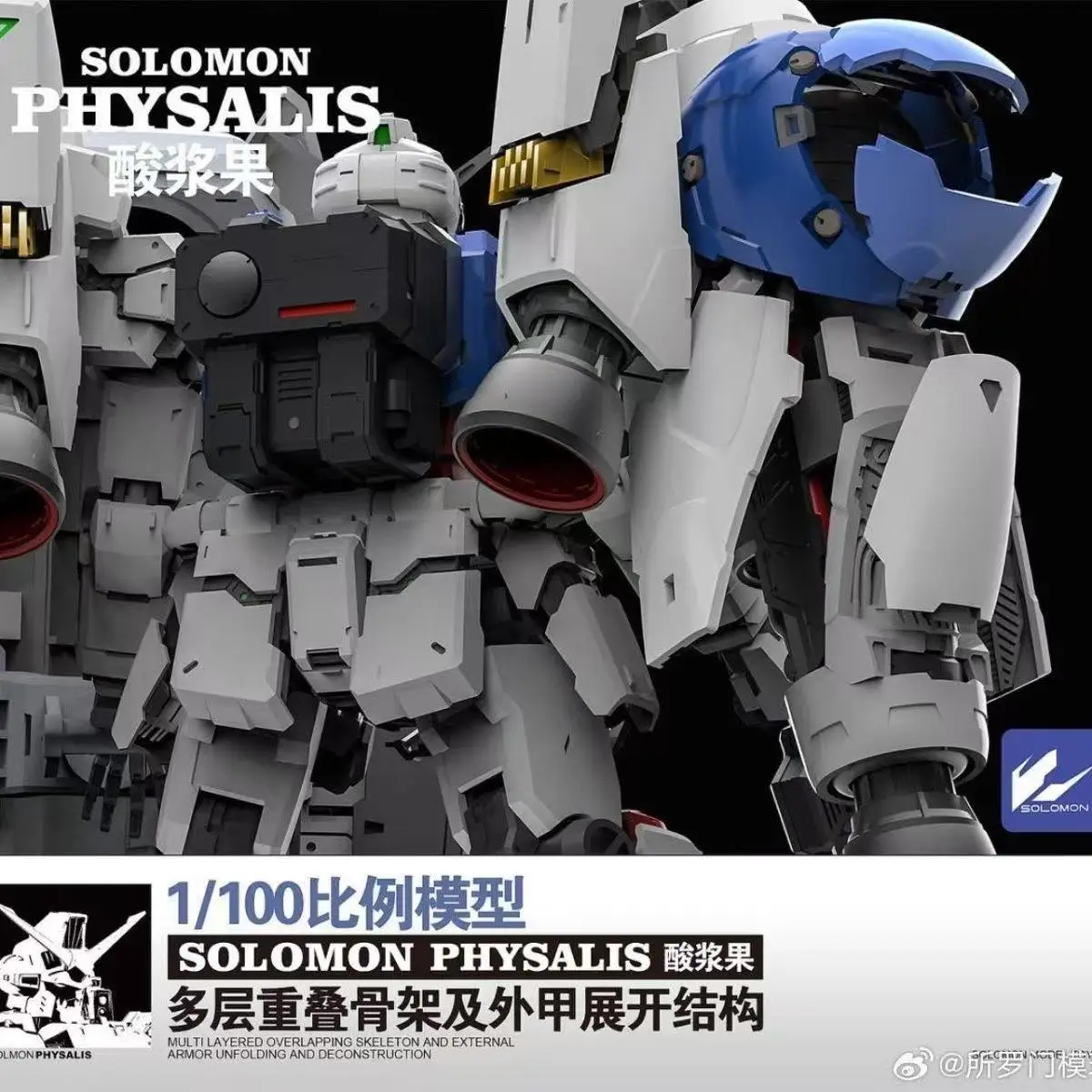 In Stock SOLOMON PHYSALIS GP02 1/100 MG Assembly Model Sour Berry Multi-layer Skeleton Model Kit Collection Toys view 4