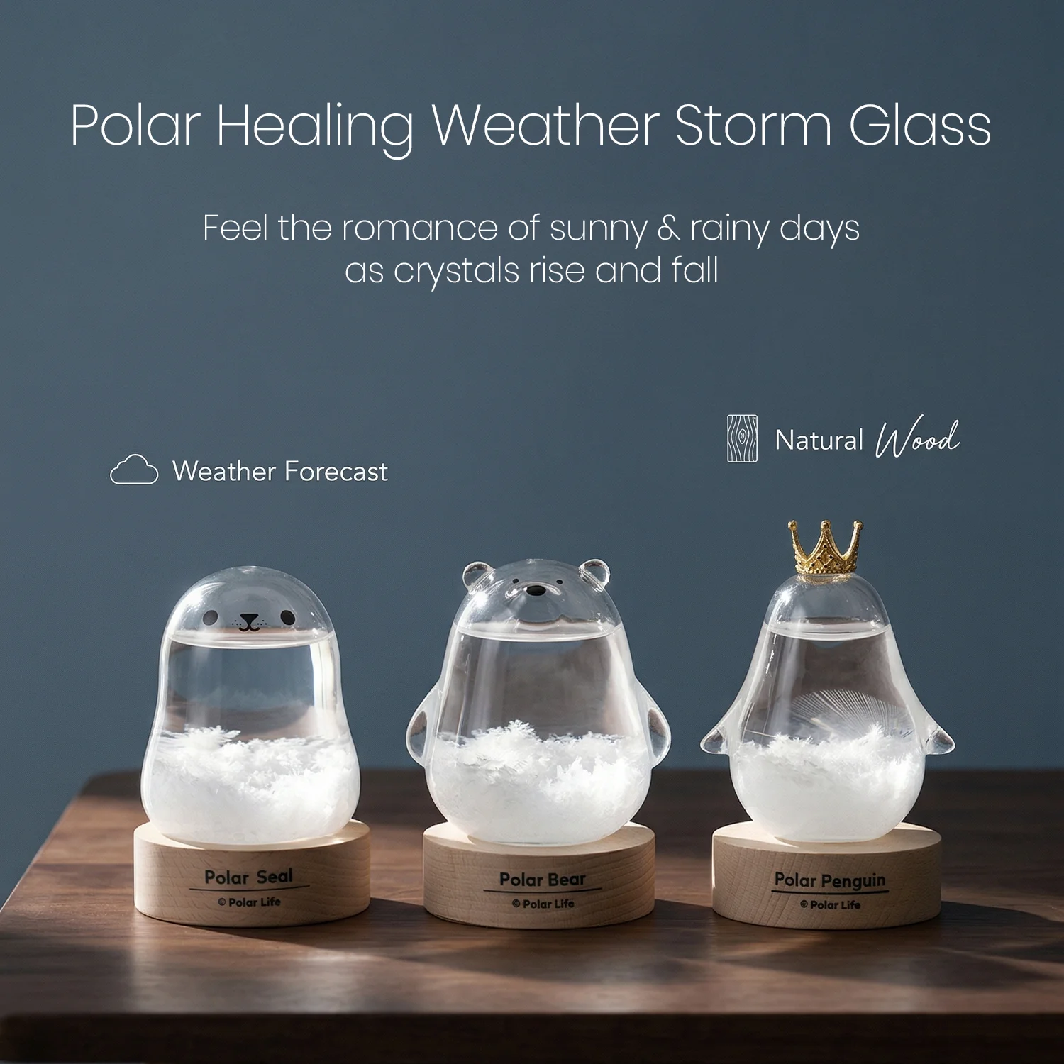 Cute Polar Bear Storm Glass Weather Predictor Crystal Weather Forecast Bottle Desktop Ornament Home Office Decor Creative Birthd