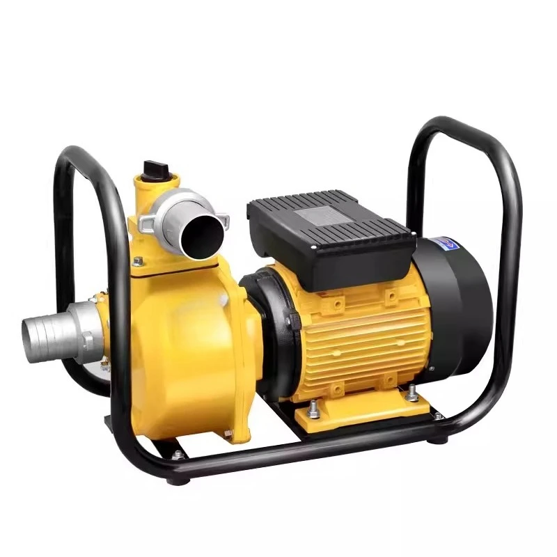 Large Flow 220V Pump Agricultural Irrigation Pump Household High Lift Pump