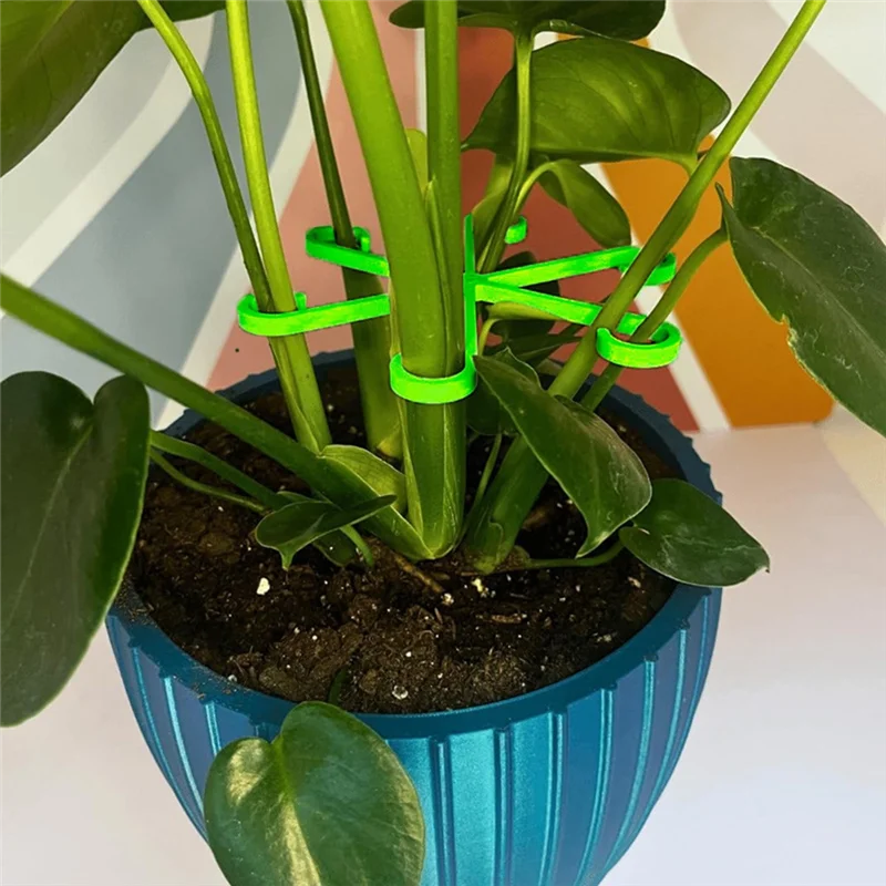 AS94-200PCS Plant Stem Holder Climbing Plant Stem Holders Hooks Garden Support Clips For Alocasia Monstera