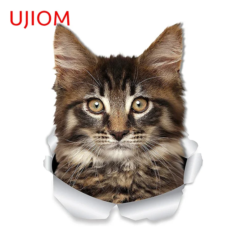 UJIOM - Adhesivo decorativo para pared con diseño de gato Maine Coon, artístico, encantador, de alta calidad, adecuado para superficies lisas, decoración del hogar