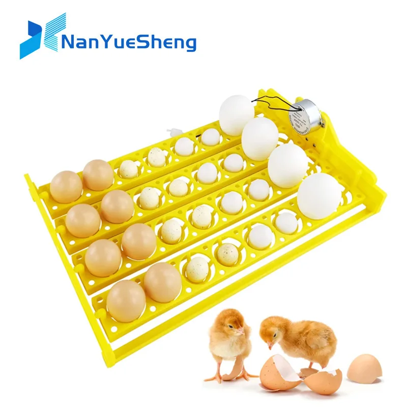 Multifunction 32 Eggs Plastic Egg Tray Automatic Turn Egg for Chicken Quail Incubator Brooder Accessory for Incubator