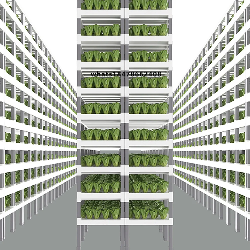 App Controlled Smart Hydroponics System Indoor Vertical Farming Modular Hydroponic Fruit Vegetable Planting System