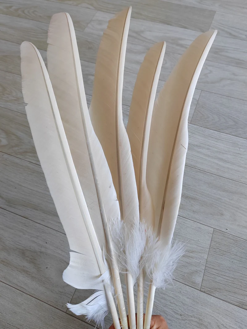 5pcs Rare White Eagle Pointed Quill Feathers length 50-60cm/ 20-24inches DIY Eagle Feather Jewelry Decoration