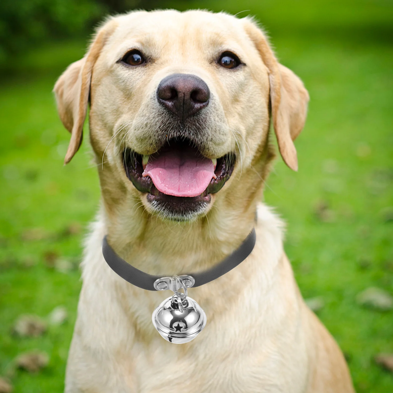 TOBBOMEY طوق الحيوانات الأليفة القابل للتعديل للكلاب والقطط في الهواء الطلق جرس الرقبة المزخرف تصميم مريح وخفيف الوزن #4