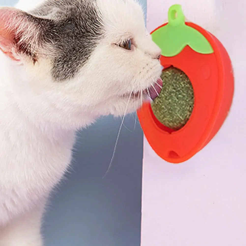 High-quality Cat Toy with Catnip Catnip Rotatable Ball Toy for Cats Teeth Molar Toothpaste with Dust-proof for Dental for Fun