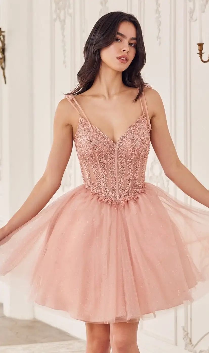 A-Line Spaghetti Strap Sweetheart Tulle Short Homecoming Dress with Lace Sleeveless Illusion Cocktail Dress Elegant