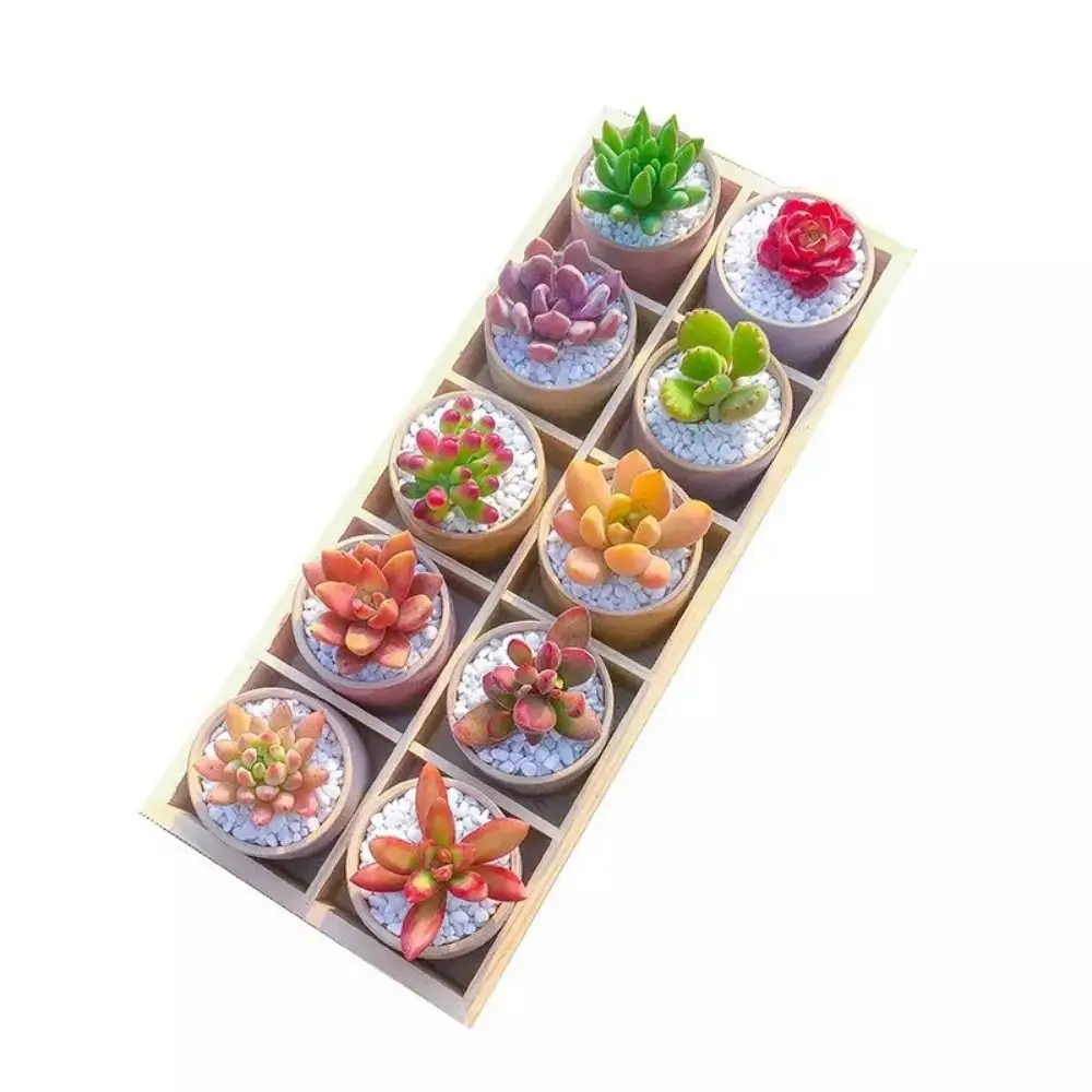 Multifunctional Succulent Flowerpot Tray Wood Plant Pot Stand Storage Box Cosmetic Tool Storage