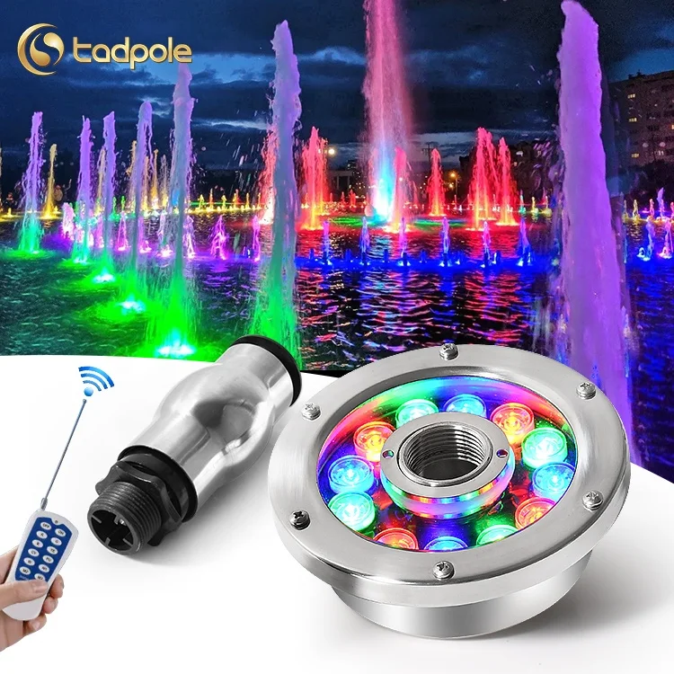 304 316 Stainless Steel DC12V Ip68 Waterproof Full Color Rgb Rgbw Outdoor Dmx512 Underwater Led Fountain Light