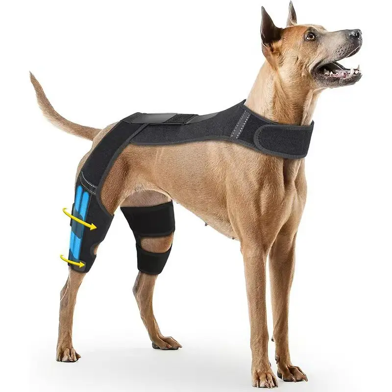New Dog Knee Brace for Post-Surgery Recovery, Rear Leg Support Wrap for Indoor Outdoor, Pet Accessory