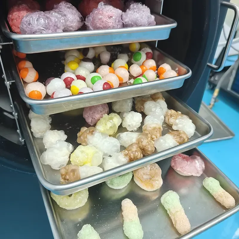 for Freeze Dryer Machine 110V Touch Screen Automatic Home Food Dehydrator for Candy Pet Fruit Vegetable Preservation US Plug