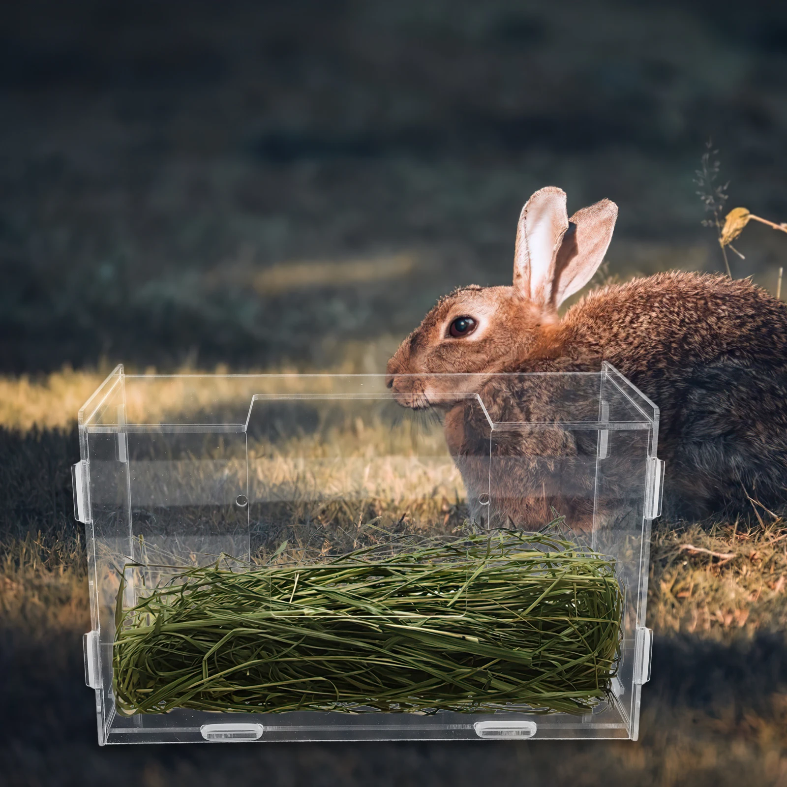 

Rabbit Hay Feeder Bunny Feeders Large Capacity Grass Rack for Rabbits Guinea Pigs Hamsters Stable Durable Acrylic