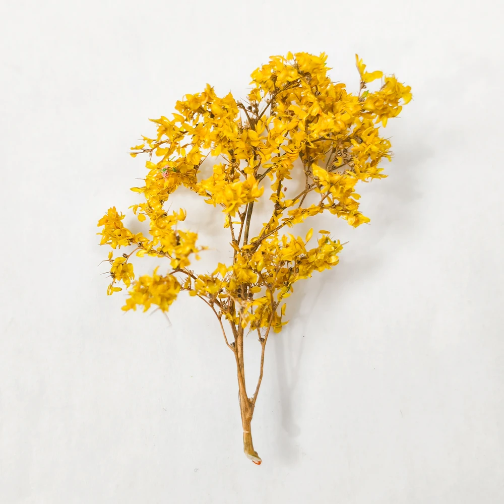 5 stks Landschapsarchitectuur Miniatuur Zeevorm Bomen 4-9 cm Realistische Bomen Model voor Diy Model Maken/Spoorweg Trein Layout/Dioramas Kits