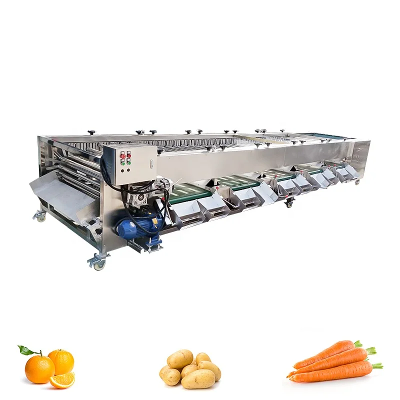 Picture 3: High-Speed Automatic Fruit Vegetable Sorting Equipment Size Grading Machine for Mango Other Vegetables Enhanced Efficiency